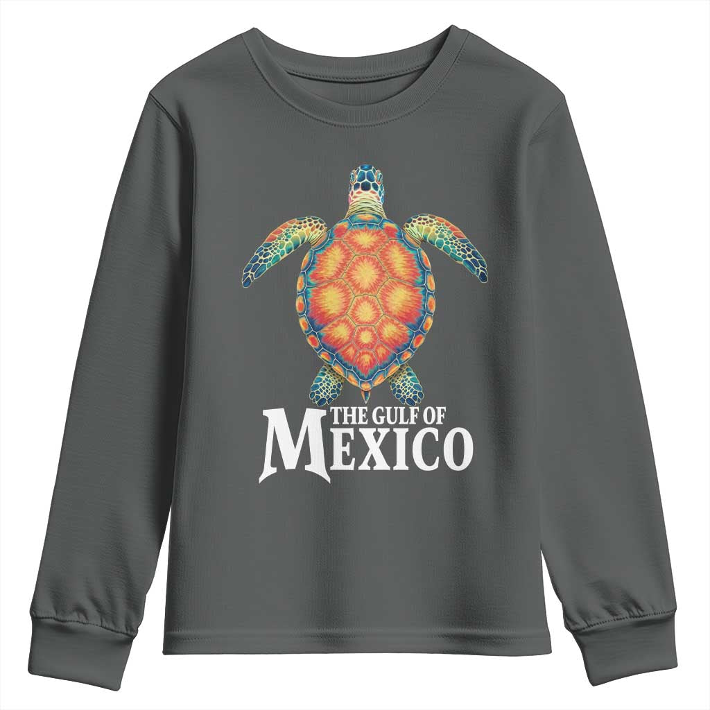 The Gulf Of Mexico Youth Sweatshirt Sea Turtle Graphic Forever Never Forget TS02 Dark Heather Print Your Wear