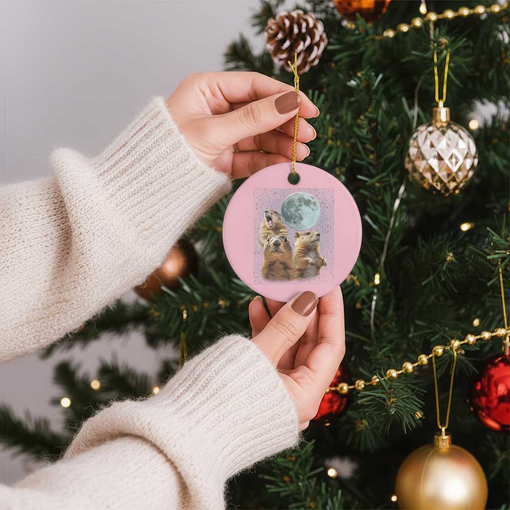 Funny Three Groundhog Meme Ceramic Ornament Woodchucks Under The Moon TS02 1pc Light Pink Print Your Wear