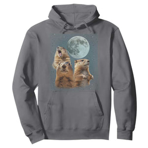 Funny Three Groundhog Meme Hoodie Woodchucks Under The Moon TS02 Charcoal Print Your Wear