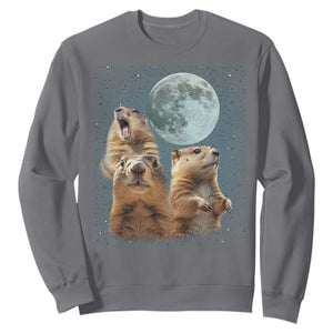 Funny Three Groundhog Meme Sweatshirt Woodchucks Under The Moon TS02 Charcoal Print Your Wear