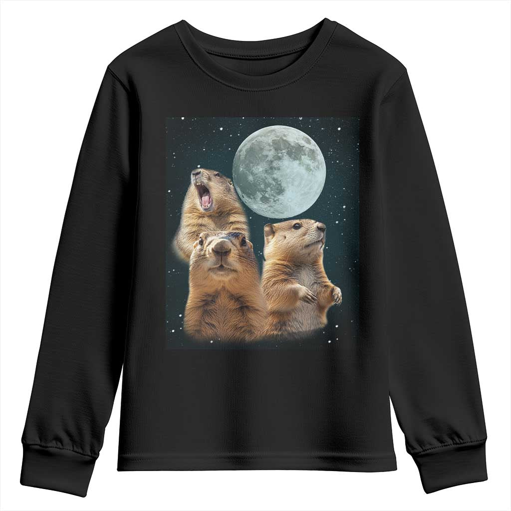 Funny Three Groundhog Meme Youth Sweatshirt Woodchucks Under The Moon TS02 Black Print Your Wear