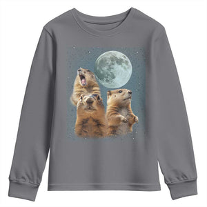 Funny Three Groundhog Meme Youth Sweatshirt Woodchucks Under The Moon TS02 Charcoal Print Your Wear