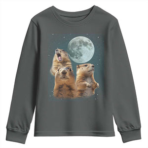 Funny Three Groundhog Meme Youth Sweatshirt Woodchucks Under The Moon TS02 Dark Heather Print Your Wear