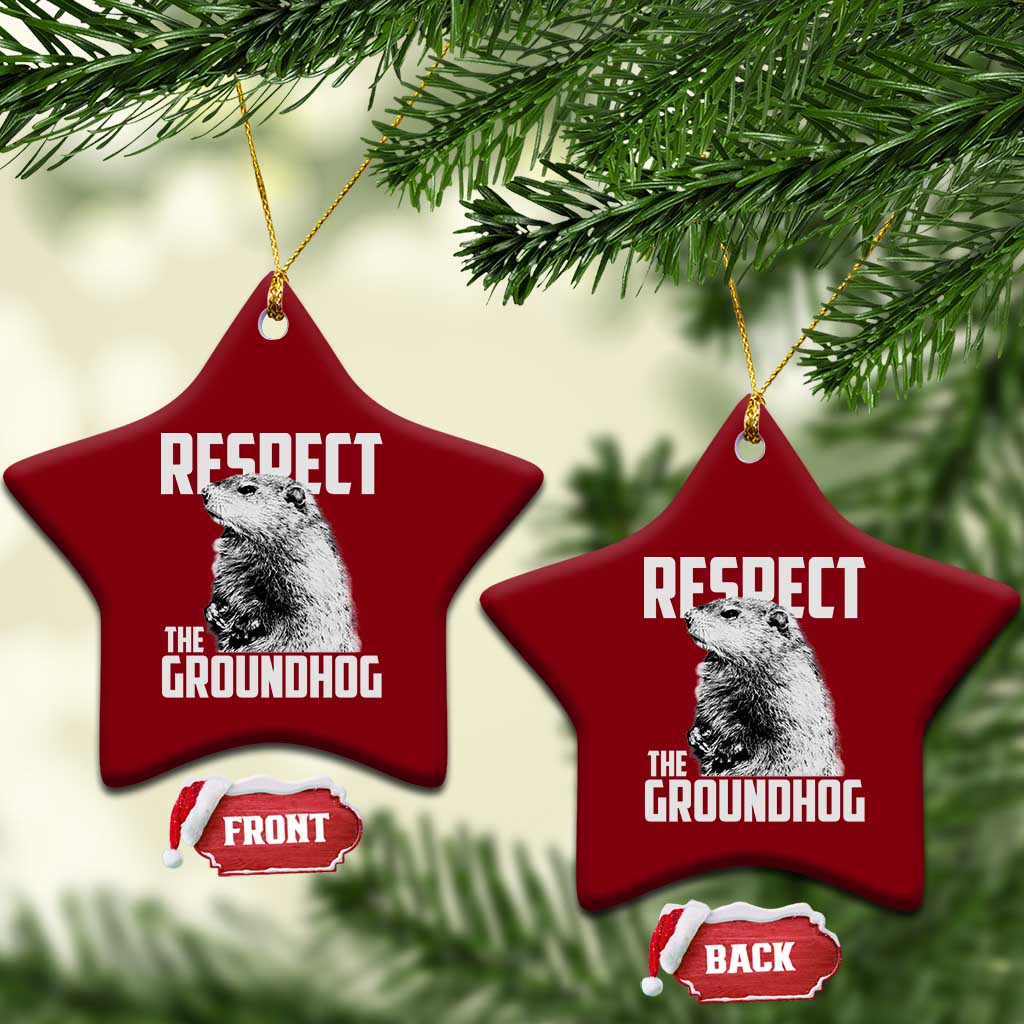 Respect The Groundhog Ceramic Ornament Funny Woodchuck Shadow Meteorlogy TS02 Print Your Wear