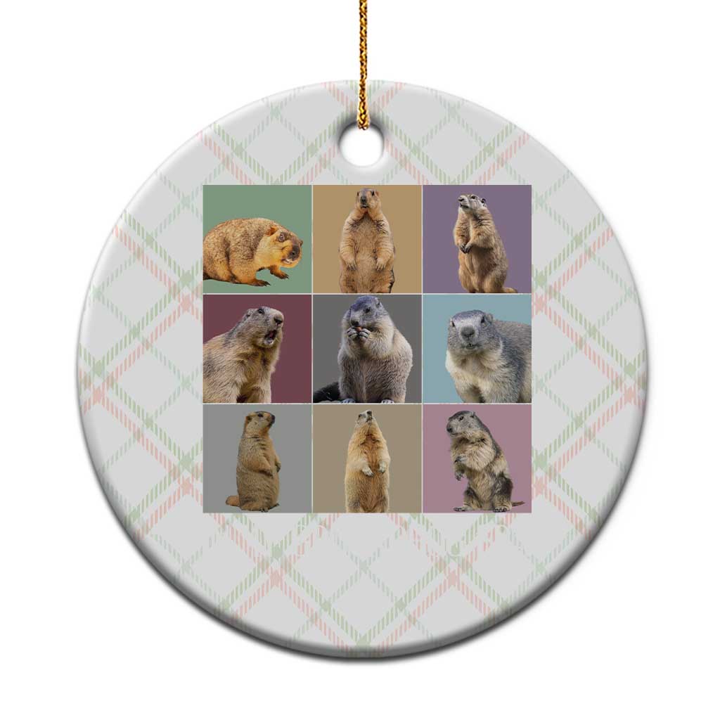 In My Groundhog Era Ceramic Ornament Funny Woodchuck TS02 1pc Christmas Plaid Print Your Wear