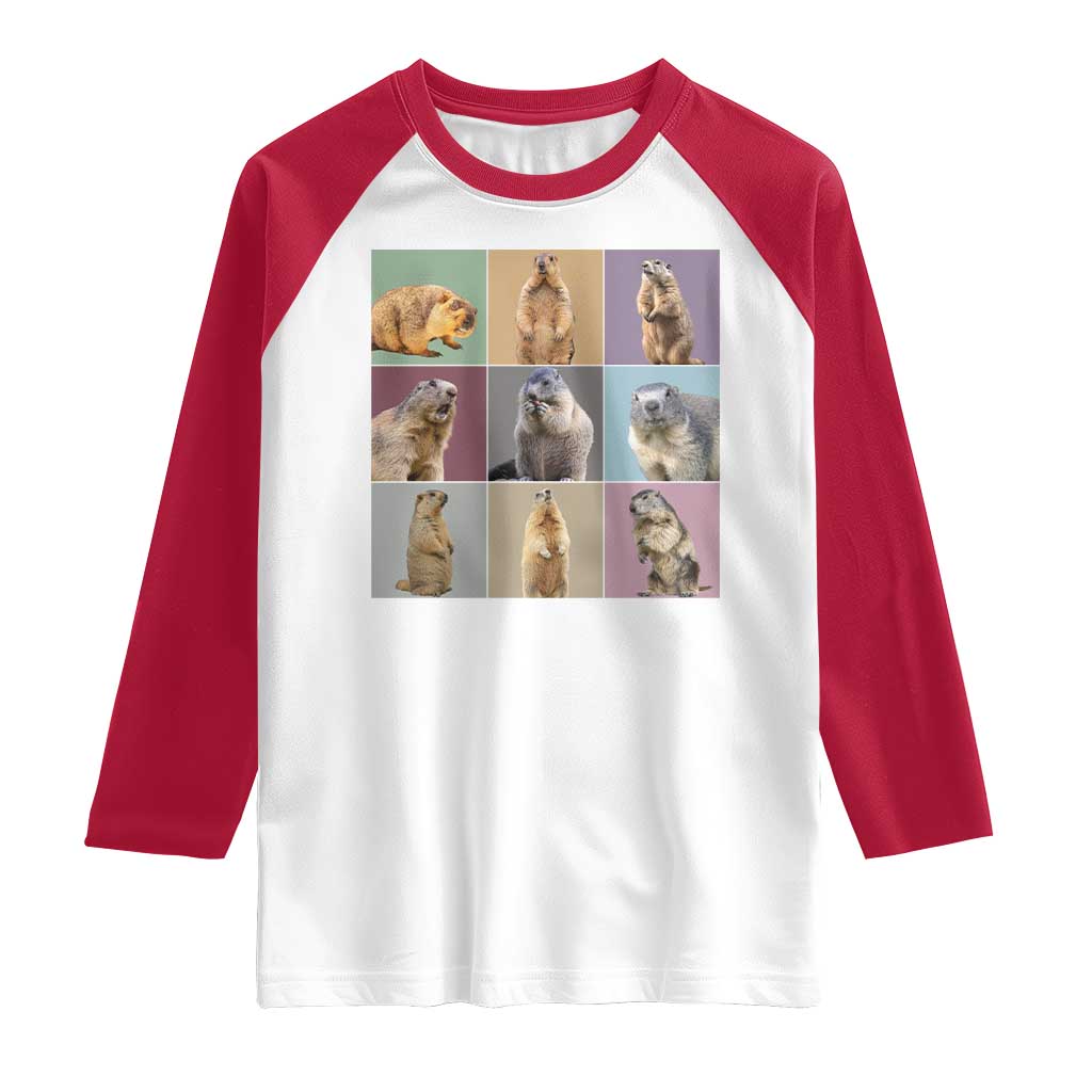 In My Groundhog Era Raglan Shirt Funny Woodchuck TS02 White Red Print Your Wear