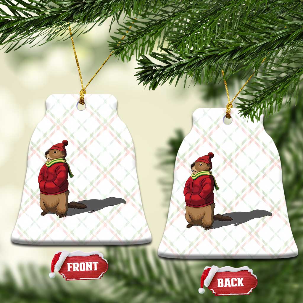 Groundhog Shadow Ceramic Ornament Funny Woodchuck Ground Hog Meteorlogy TS02 Print Your Wear