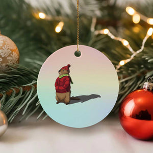 Groundhog Shadow Ceramic Ornament Funny Woodchuck Ground Hog Meteorlogy TS02 1pc Pastel Print Your Wear