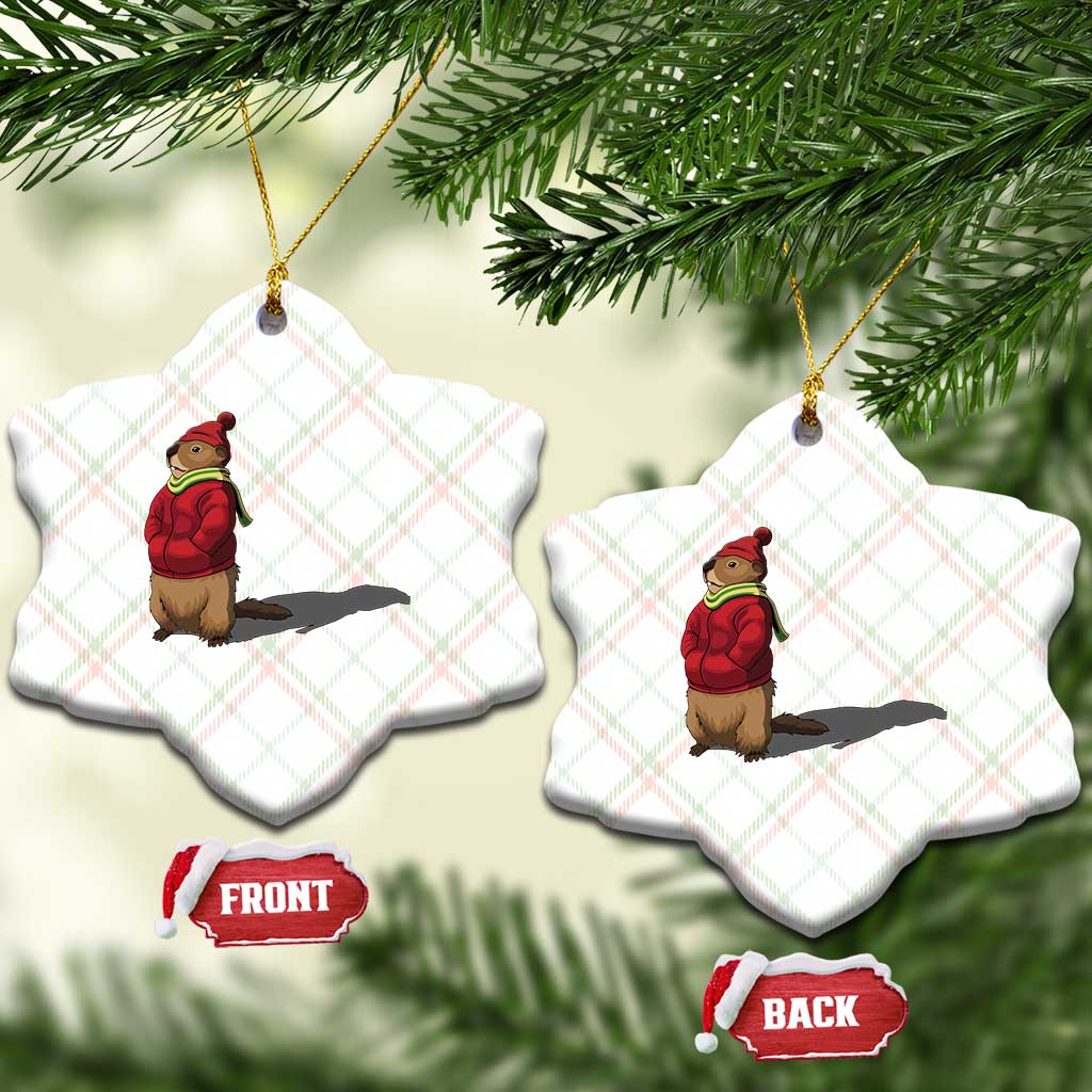 Groundhog Shadow Ceramic Ornament Funny Woodchuck Ground Hog Meteorlogy TS02 Print Your Wear