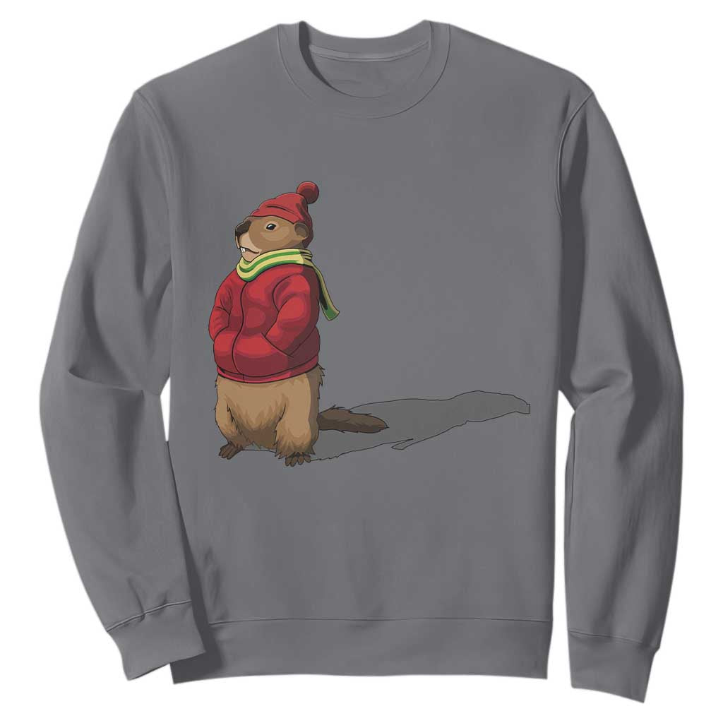 Groundhog Shadow Sweatshirt Funny Woodchuck Ground Hog Meteorlogy TS02 Charcoal Print Your Wear