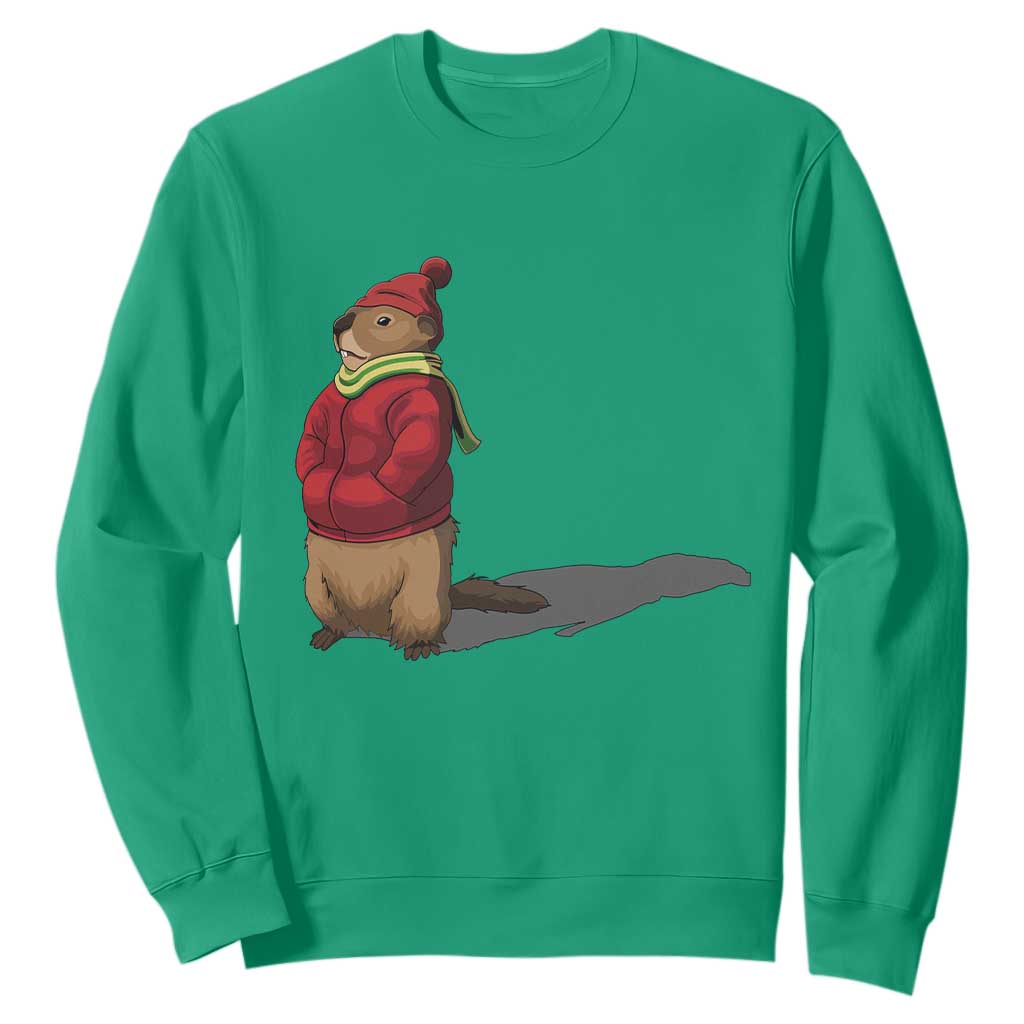 Groundhog Shadow Sweatshirt Funny Woodchuck Ground Hog Meteorlogy TS02 Irish Green Print Your Wear