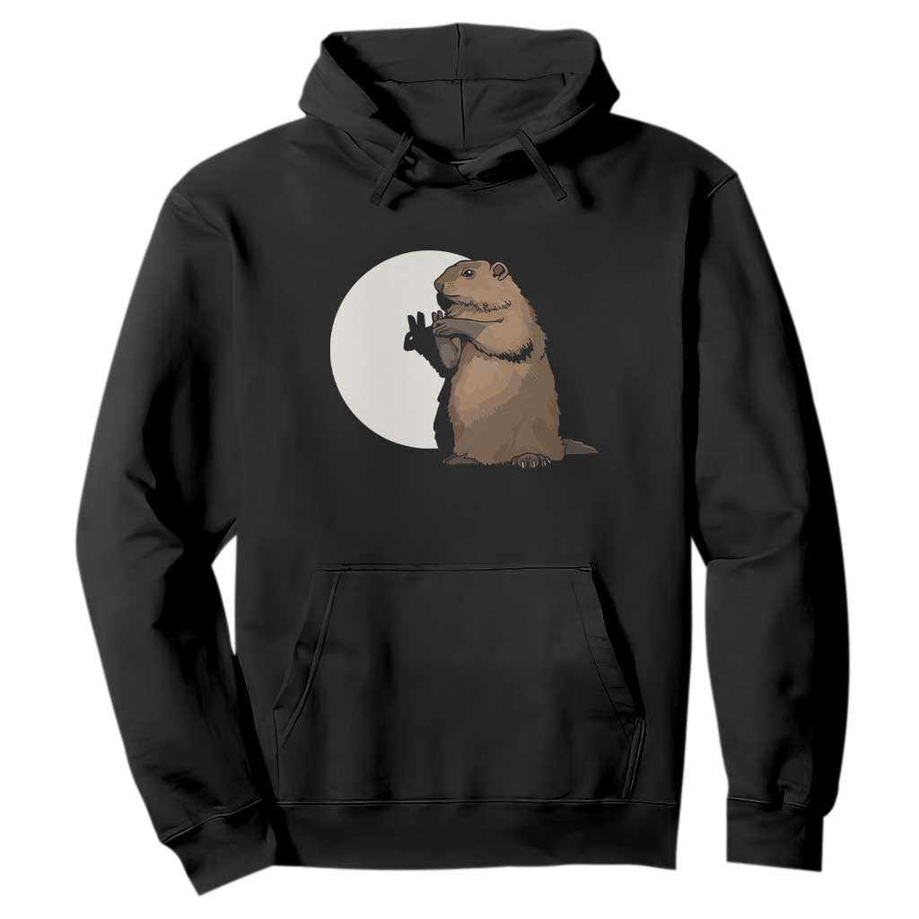 Groundhog Shadow Meteorlogy Hoodie Woodchuck Puppet Funny Gift TS02 Black Print Your Wear