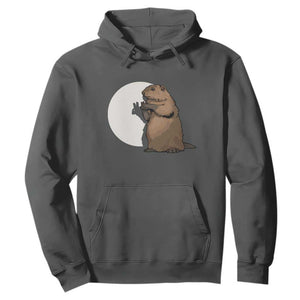 Groundhog Shadow Meteorlogy Hoodie Woodchuck Puppet Funny Gift TS02 Dark Heather Print Your Wear