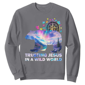 VBS 2025 Adventure Bear Sweatshirt Trusting Jesus In A Wild World Northen Lights TS02 Charcoal Print Your Wear