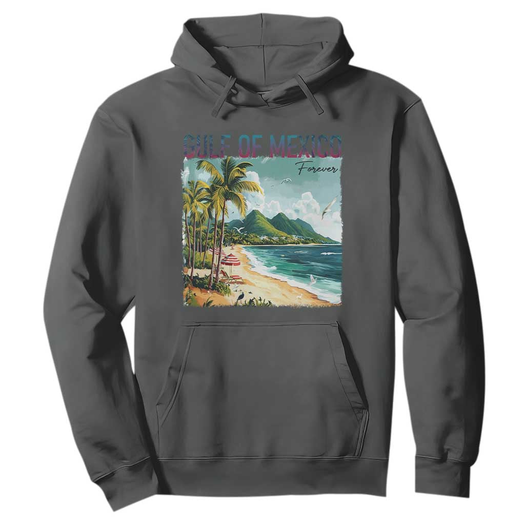 Gulf of Mexico Forever Hoodie Retro Beach TS02 Dark Heather Print Your Wear