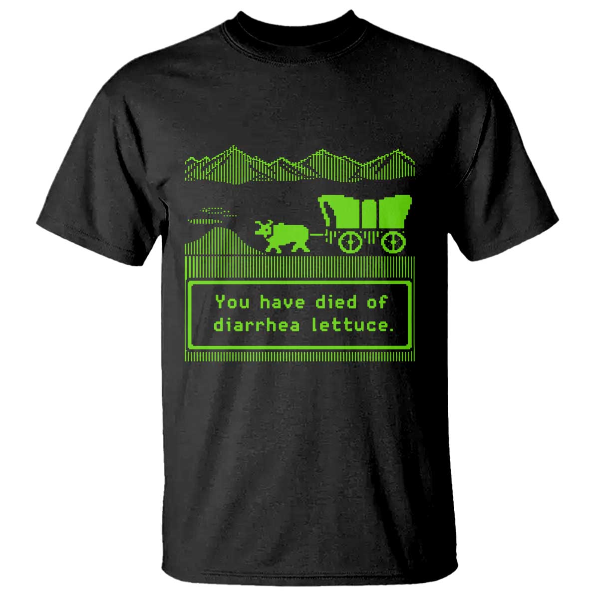 Retro 8-Bit Pixel 80s Game Over Parody Graphic T Shirt You Have Died Of Diarrhea Lettuce TS02 Black Print Your Wear
