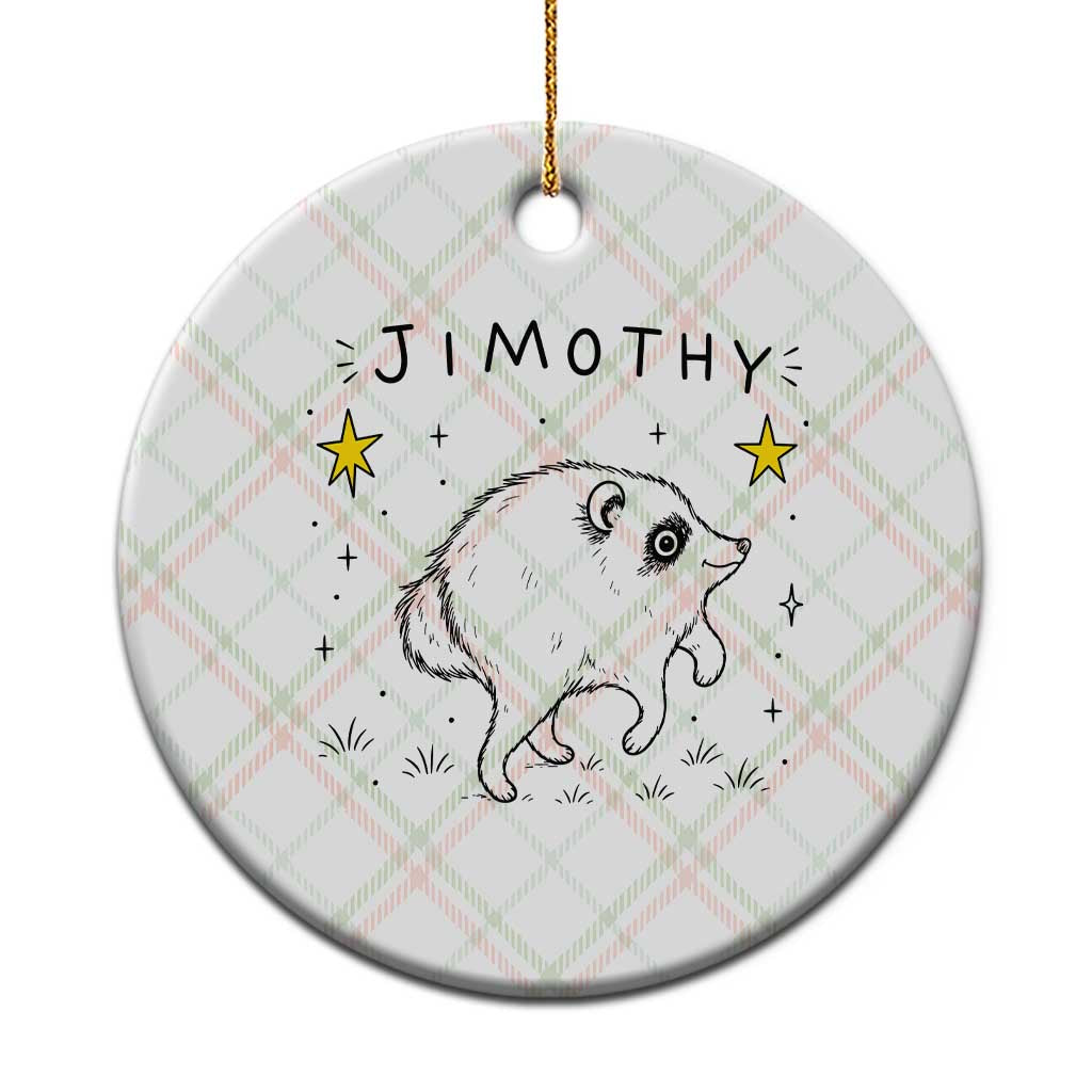 Cute Doodle Starry Jimothy the Raccoon Graphic Ceramic Ornament Viral Seattle Trash Panda TS02 1pc Christmas Plaid Print Your Wear
