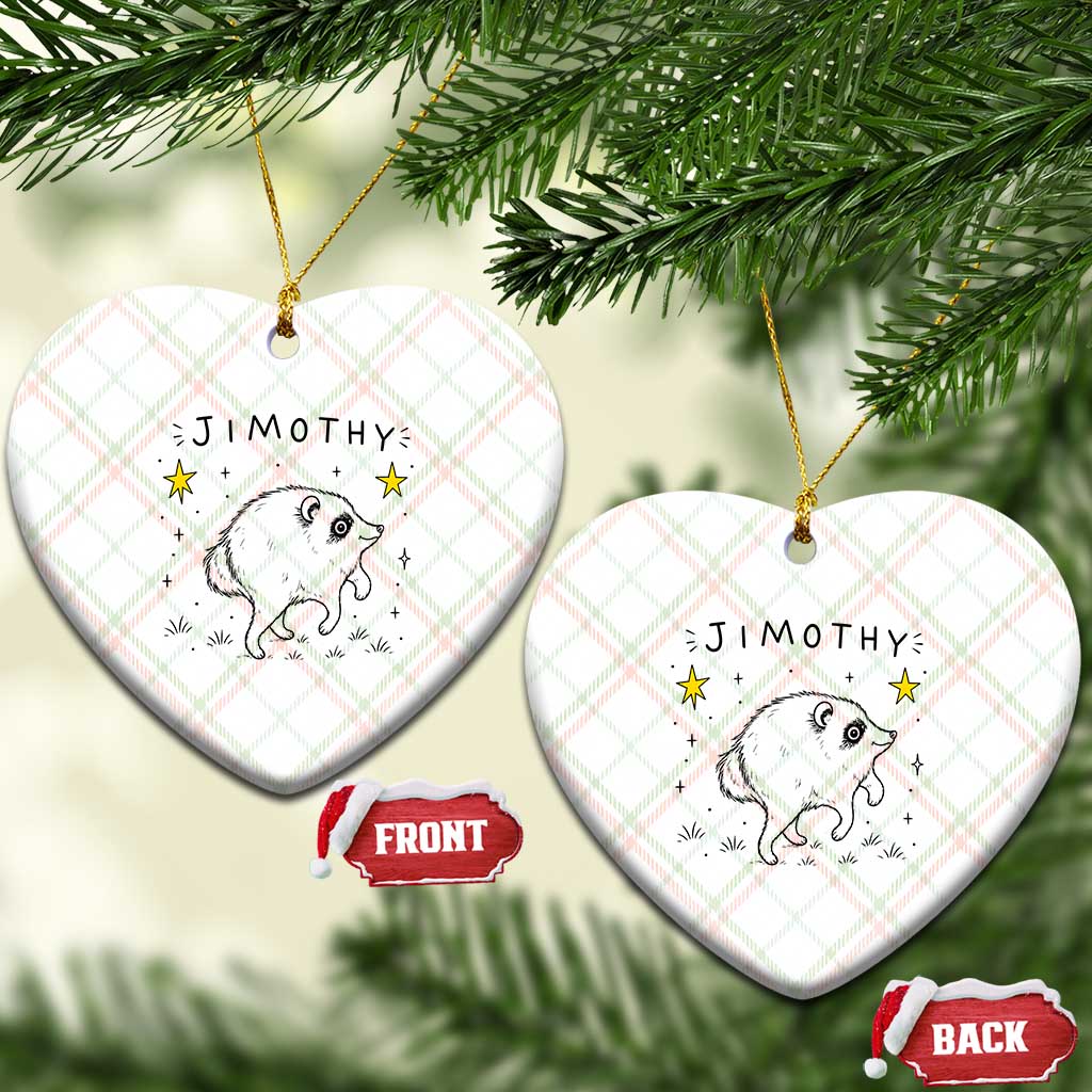 Cute Doodle Starry Jimothy the Raccoon Graphic Ceramic Ornament Viral Seattle Trash Panda TS02 Print Your Wear
