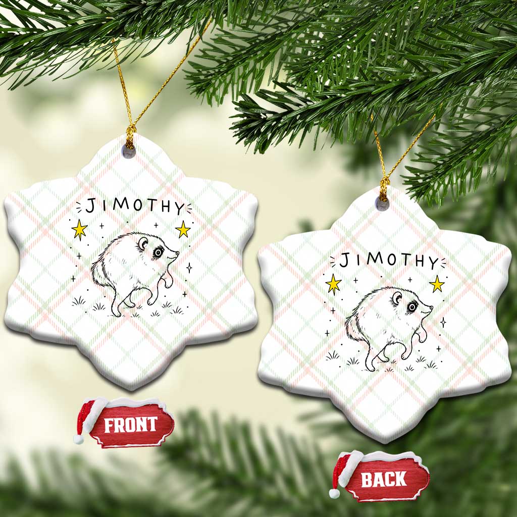Cute Doodle Starry Jimothy the Raccoon Graphic Ceramic Ornament Viral Seattle Trash Panda TS02 Print Your Wear