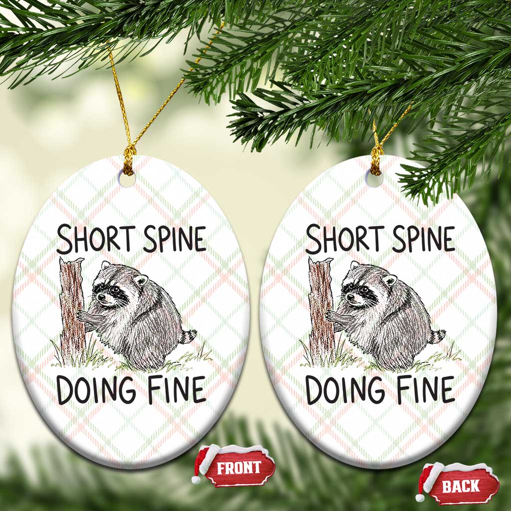 Jimothy Short Spine Doing Fine Inspirational Ceramic Ornament Viral Seattle Raccoon Crayon Drawing Graphic TS02 Print Your Wear