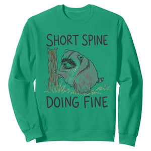 Jimothy Short Spine Doing Fine Inspirational Sweatshirt Viral Seattle Raccoon Crayon Drawing Graphic TS02 Irish Green Print Your Wear