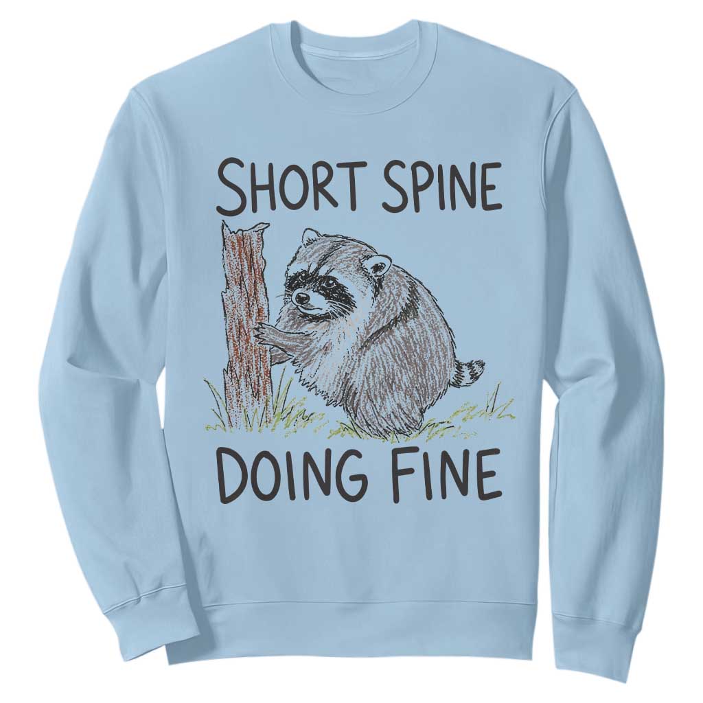 Jimothy Short Spine Doing Fine Inspirational Sweatshirt Viral Seattle Raccoon Crayon Drawing Graphic TS02 Light Blue Print Your Wear