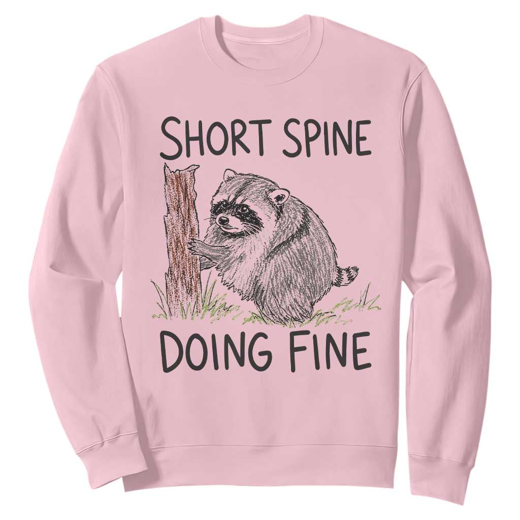 Jimothy Short Spine Doing Fine Inspirational Sweatshirt Viral Seattle Raccoon Crayon Drawing Graphic TS02 Light Pink Print Your Wear