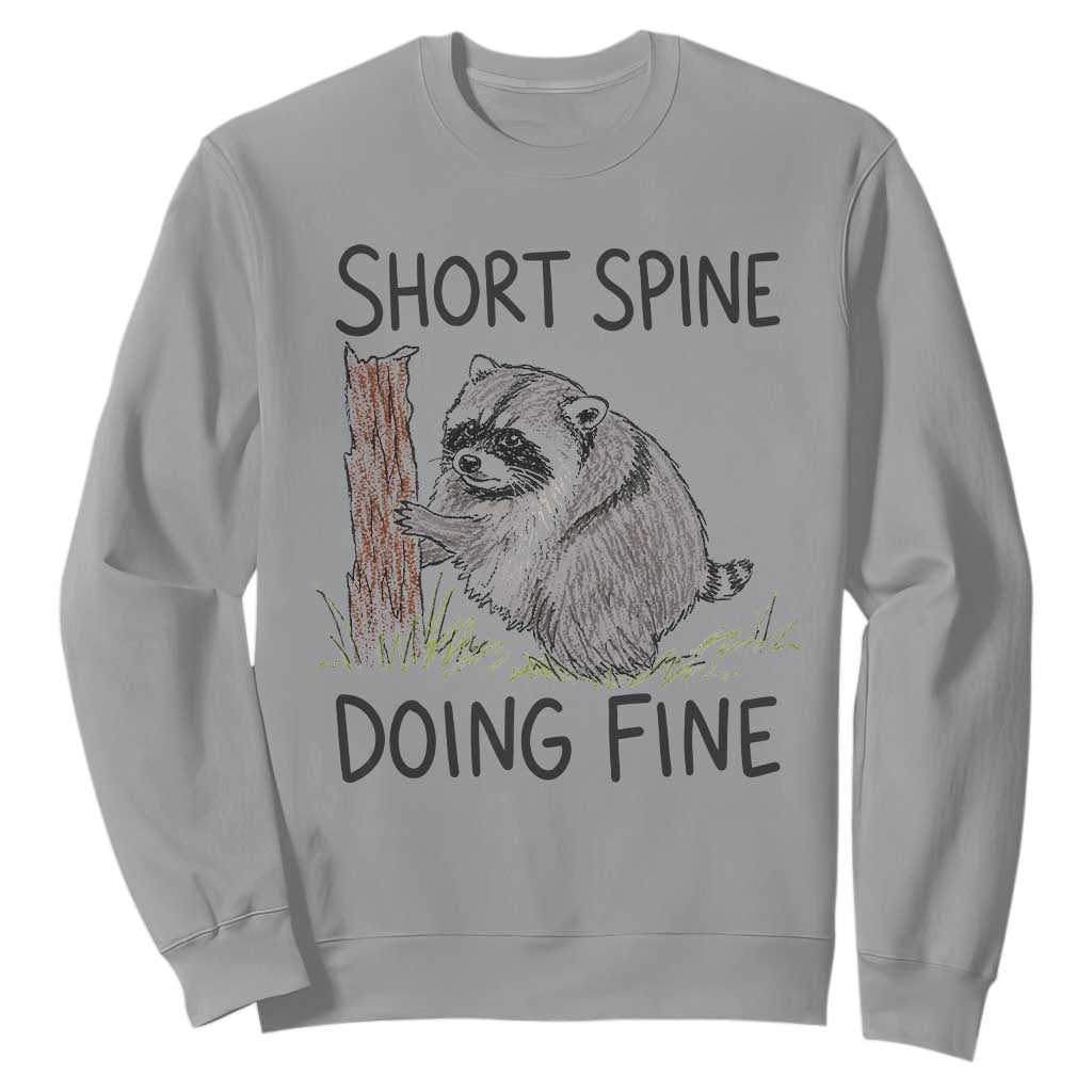Jimothy Short Spine Doing Fine Inspirational Sweatshirt Viral Seattle Raccoon Crayon Drawing Graphic TS02 Sport Gray Print Your Wear