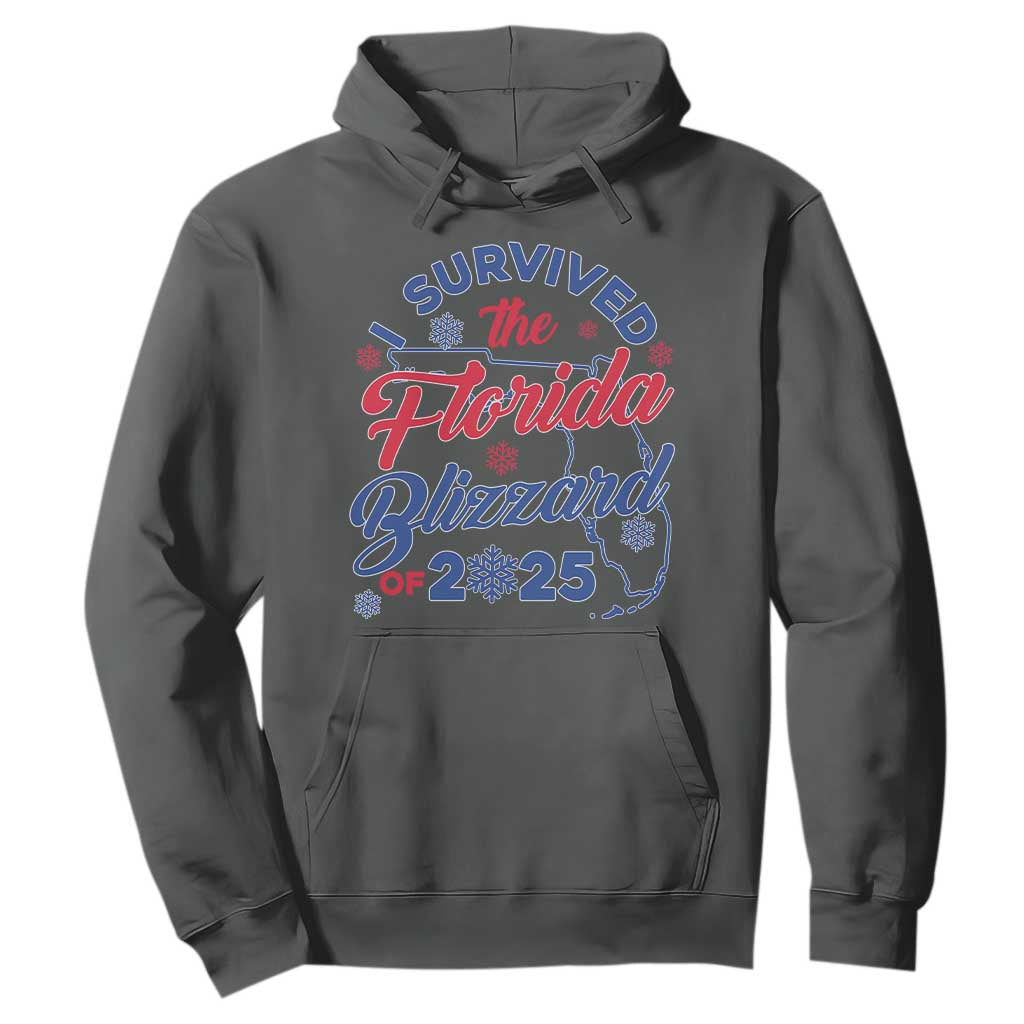 I Survived The Florida Blizzard Of 2025 Hoodie TS02 Dark Heather Print Your Wear