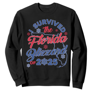 I Survived The Florida Blizzard Of 2025 Sweatshirt TS02 Black Print Your Wear