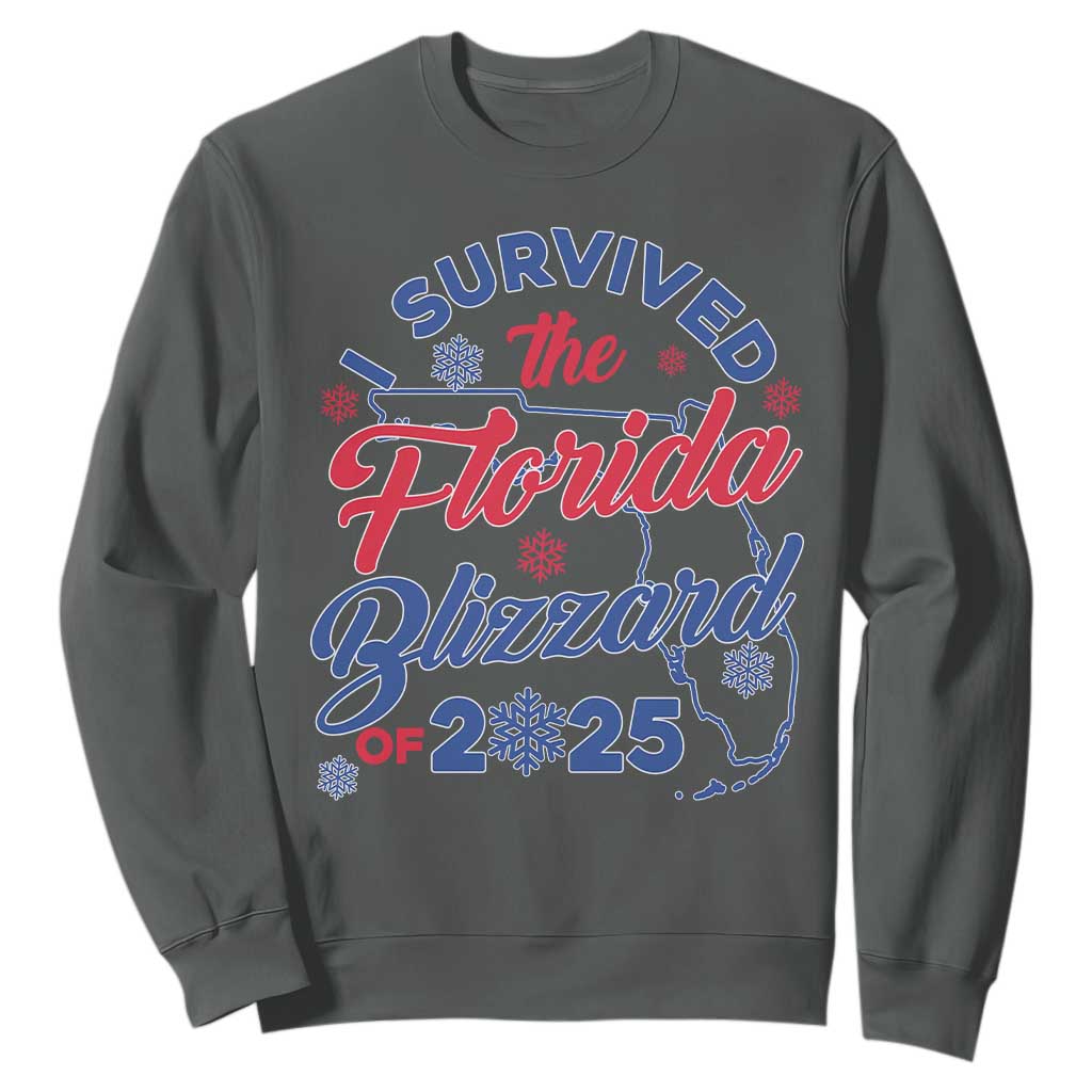 I Survived The Florida Blizzard Of 2025 Sweatshirt TS02 Dark Heather Print Your Wear