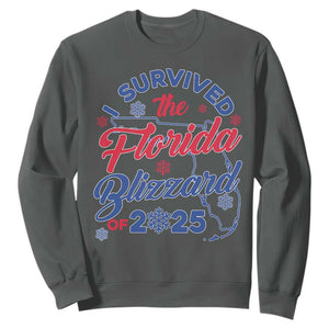 I Survived The Florida Blizzard Of 2025 Sweatshirt TS02 Dark Heather Print Your Wear