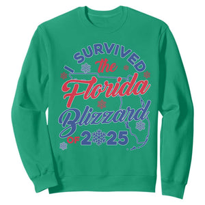 I Survived The Florida Blizzard Of 2025 Sweatshirt TS02 Irish Green Print Your Wear