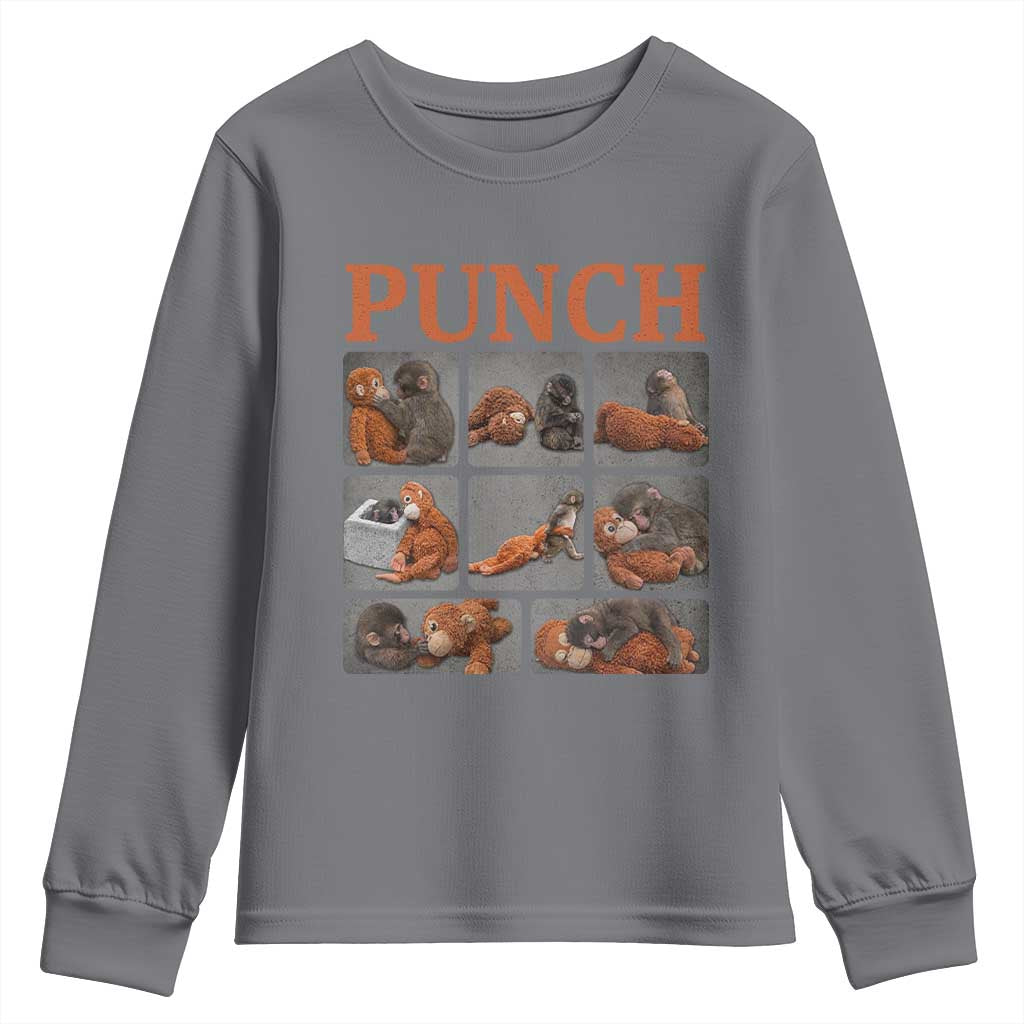 Cute Baby Monkey Punch with Plush Toy Graphic Youth Sweatshirt TS02 Charcoal Print Your Wear