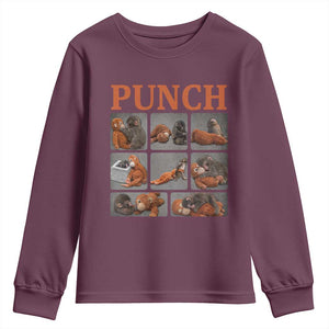 Cute Baby Monkey Punch with Plush Toy Graphic Youth Sweatshirt TS02 Maroon Print Your Wear