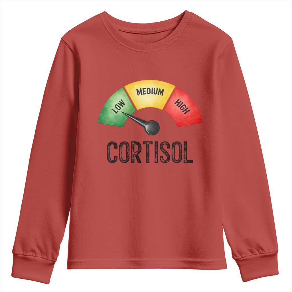 Funny Low Cortisol Stress Meter Youth Sweatshirt Low Medium High Anxiety Humor TS02 Red Print Your Wear