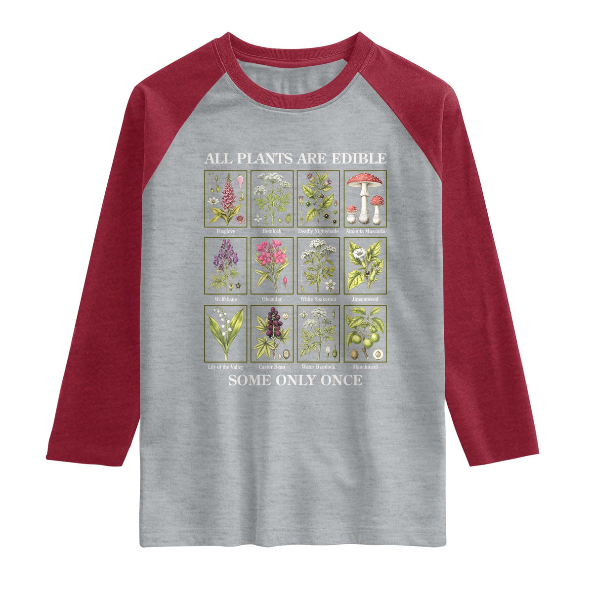 Vintage Botanical Poison Chart Graphic Raglan Shirt All Plants Are Edible Some Only Once TS02 Heather Gray Heather Red Print Your Wear