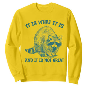Funny Raccoon Meme It Is What It Is Sweatshirt And It Is Not Great Mental Health Support TS02 Daisy Print Your Wear