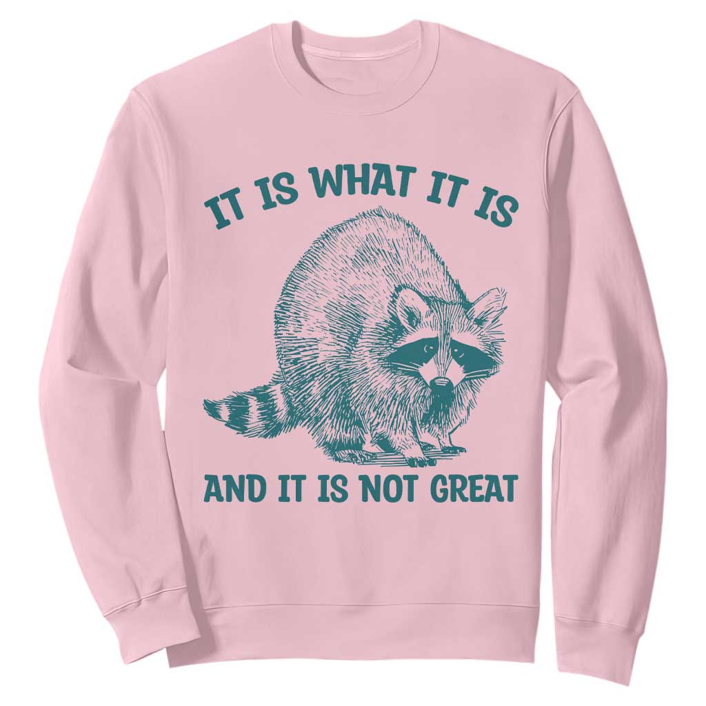 Funny Raccoon Meme It Is What It Is Sweatshirt And It Is Not Great Mental Health Support TS02 Light Pink Print Your Wear