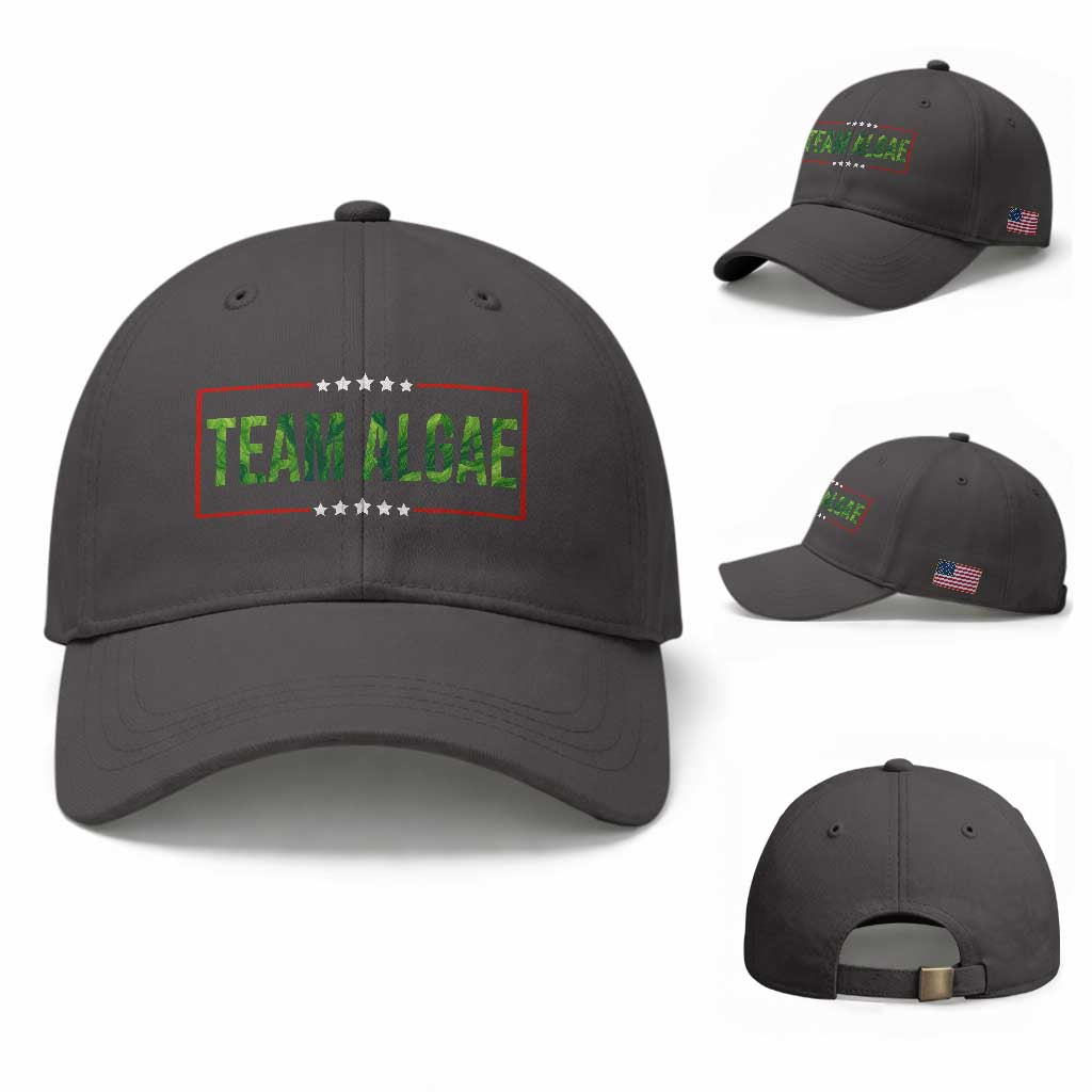 Team Algae Satire Baseball Cap Funny Lincoln Memorial Reflecting Pool Meme Parody TS02 Baseball Cap Universal Fit Dark Gray Print Your Wear