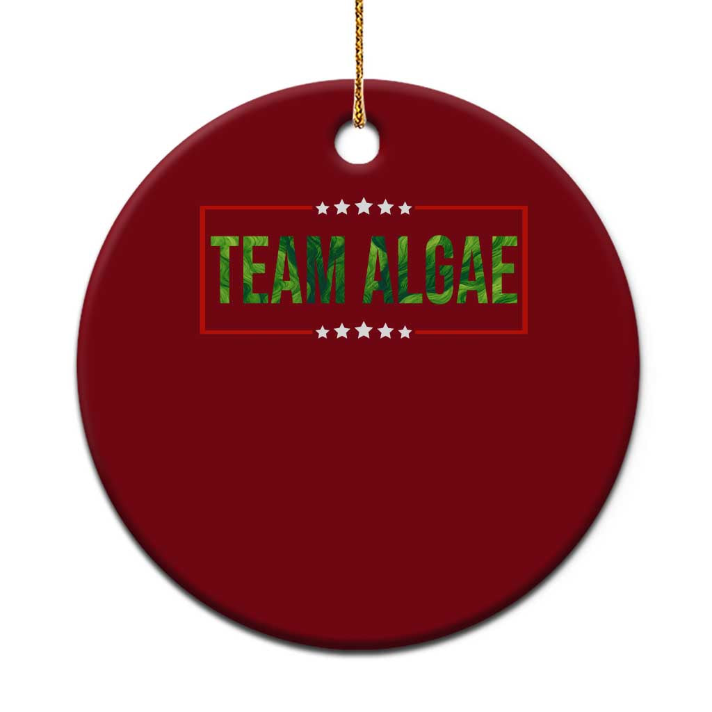 Team Algae Satire Ceramic Ornament Funny Lincoln Memorial Reflecting Pool Meme Parody TS02 1pc Red Print Your Wear
