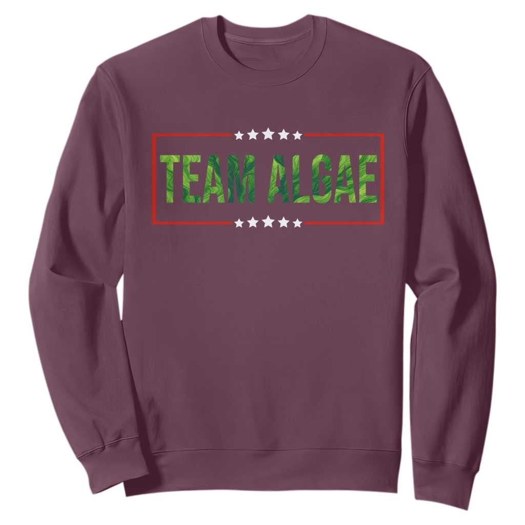 Team Algae Satire Sweatshirt Funny Lincoln Memorial Reflecting Pool Meme Parody TS02 Maroon Print Your Wear