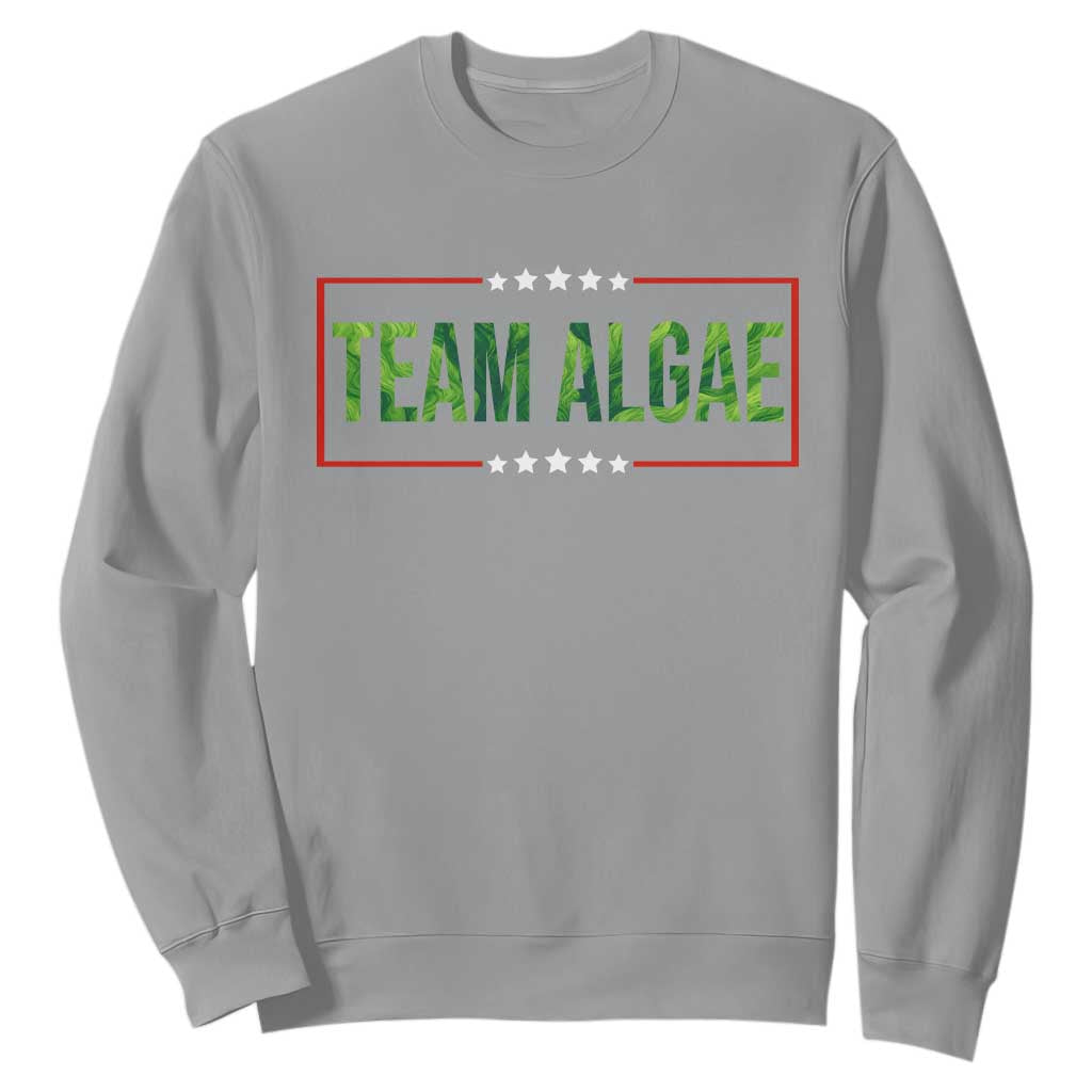 Team Algae Satire Sweatshirt Funny Lincoln Memorial Reflecting Pool Meme Parody TS02 Sport Gray Print Your Wear