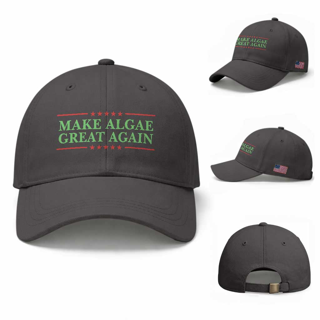 Make Algae Great Again Retro Baseball Cap Funny Lincoln Memorial Reflecting Pool Parody Meme TS02 Baseball Cap Universal Fit Dark Gray Print Your Wear