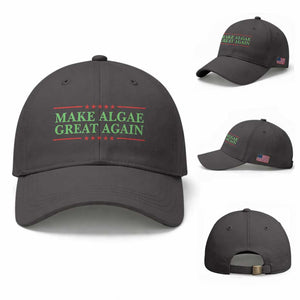Make Algae Great Again Retro Baseball Cap Funny Lincoln Memorial Reflecting Pool Parody Meme TS02 Baseball Cap Universal Fit Dark Gray Print Your Wear