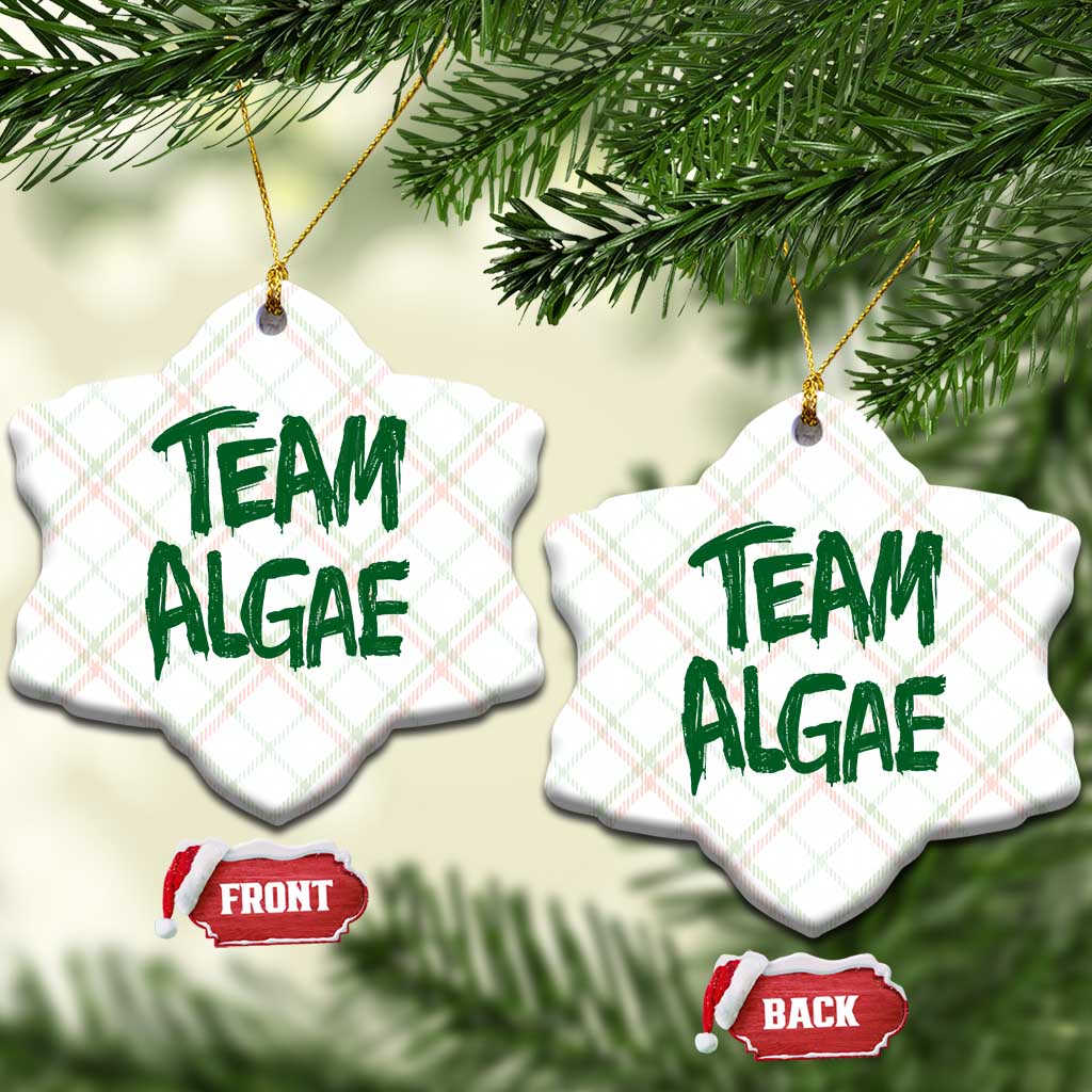 Team Algae Slime Dripping Style Graphic Ceramic Ornament Viral Lincoln Memorial Reflecting Pool Swamp Meme TS02 Print Your Wear