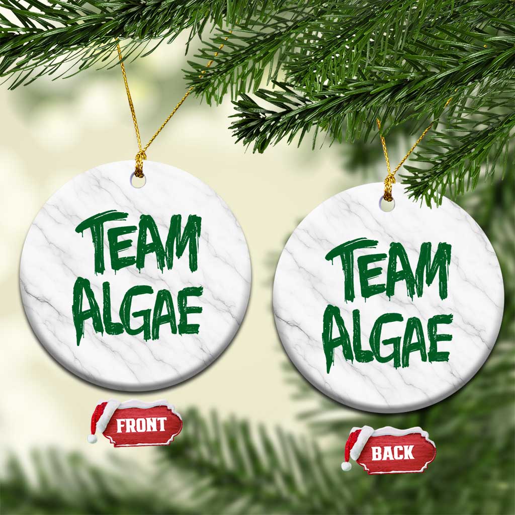 Team Algae Slime Dripping Style Graphic Ceramic Ornament Viral Lincoln Memorial Reflecting Pool Swamp Meme TS02 1pc White Marble Print Your Wear