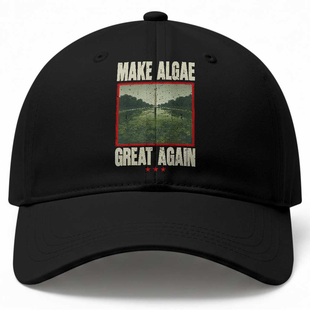 Make Algae Great Again Funny DC Slamp Slime Parody Baseball Cap Washington Monument Reflecting Pool Vintage Photo TS02 Print Your Wear