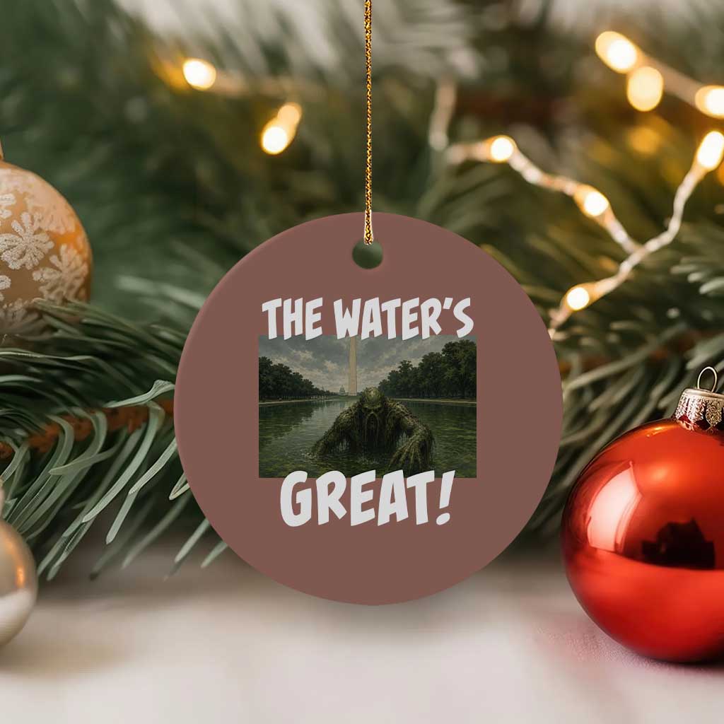 The Water is Great Swamp Monster Reflecting Pool Ceramic Ornament Funny Washington DC Algae Creature Meme TS02 1pc Mocha Print Your Wear