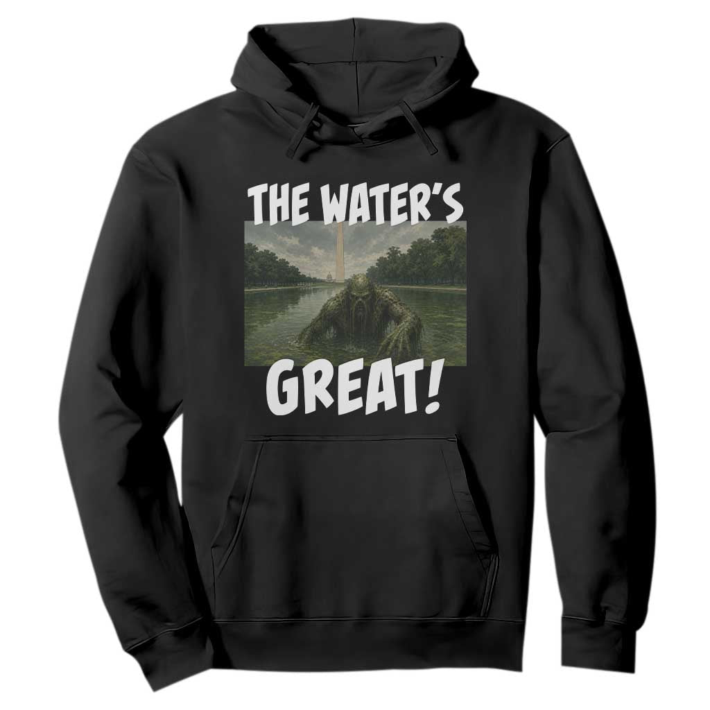 The Water is Great Swamp Monster Reflecting Pool Hoodie Funny Washington DC Algae Creature Meme TS02 Black Print Your Wear